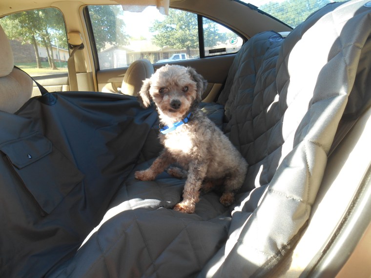 Niggy on car seat cover