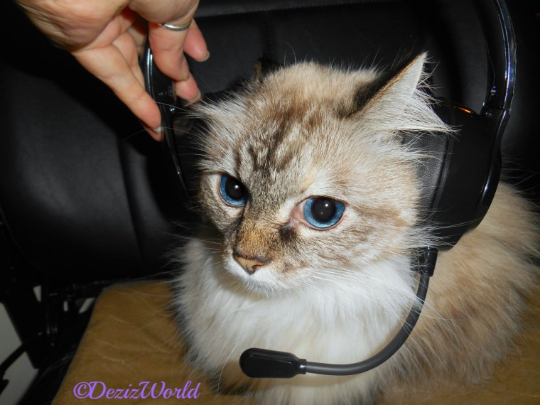 Dezi with headphones on - selfie