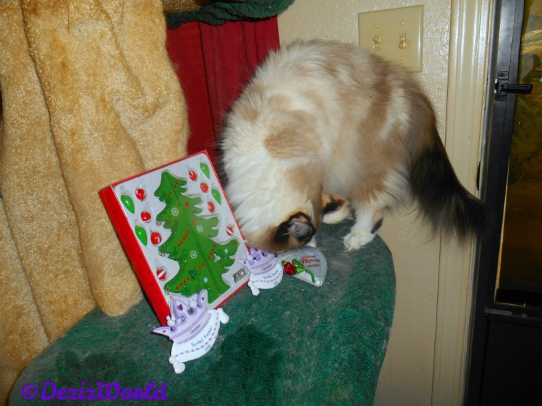 Raena checks out personalized ornaments for you