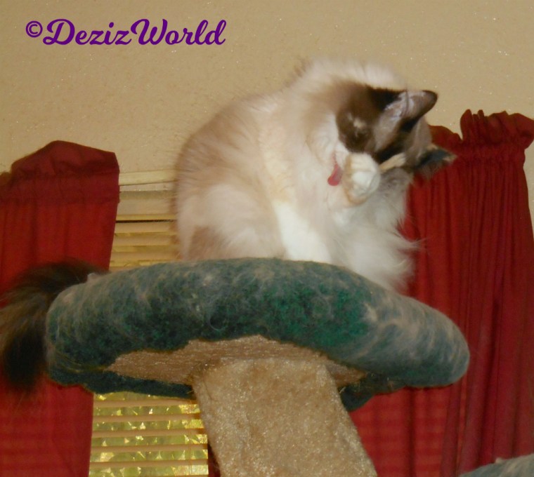 Raena washes her eye