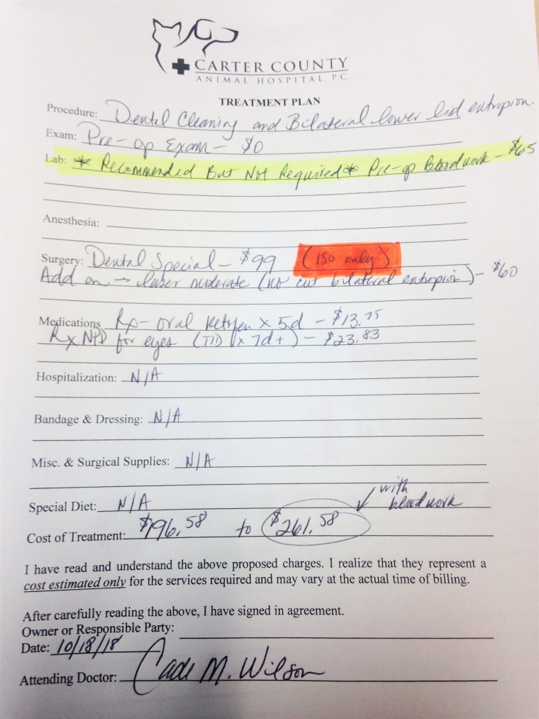 Raena's surgical estimate for entropion and dental