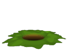 Rabbit popping in and out of rabbit hole