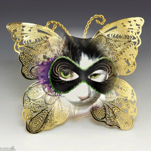 Aetheling in butterfly mask