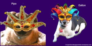 Pipo and Dalton in masks