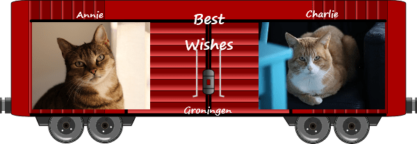 Annie and Charlie boxcar