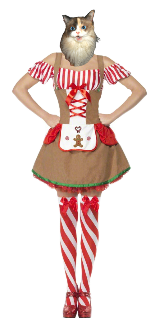 Raena dressed as gingerbread woman