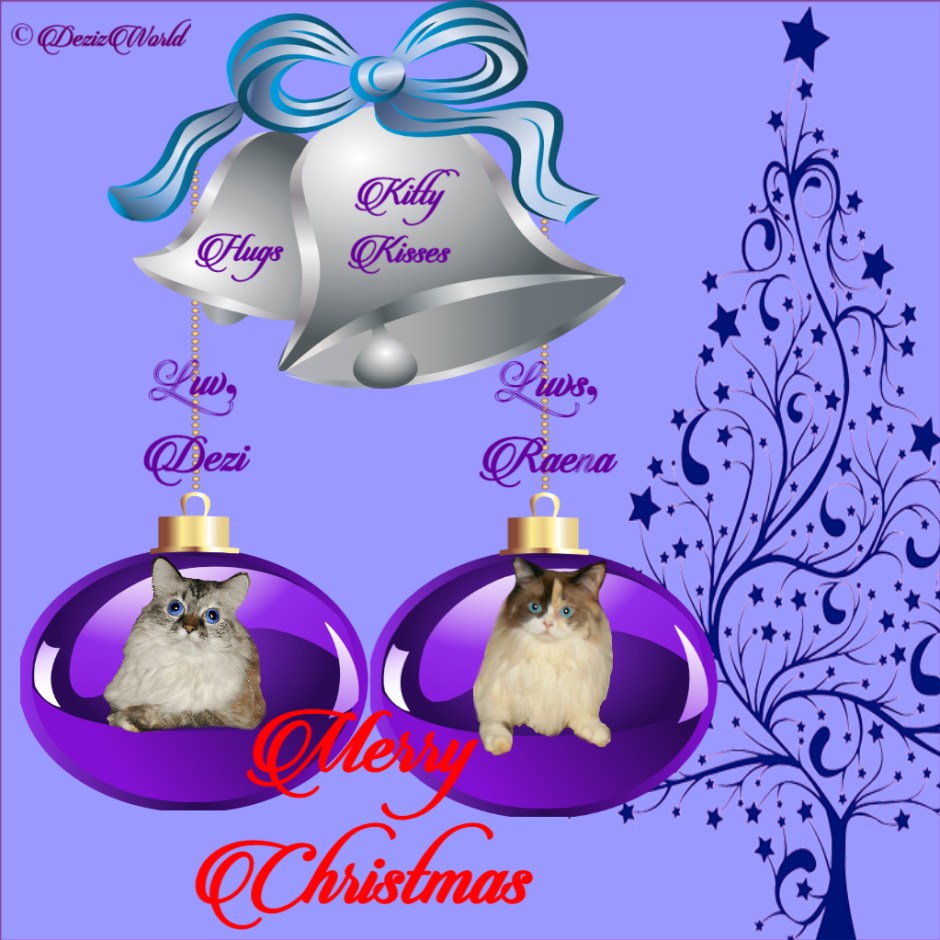 Dezi and Raena insd=ide Christmas balls on card