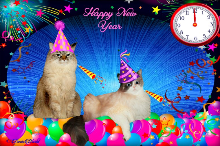 Dezi and Raena in a New year frame
