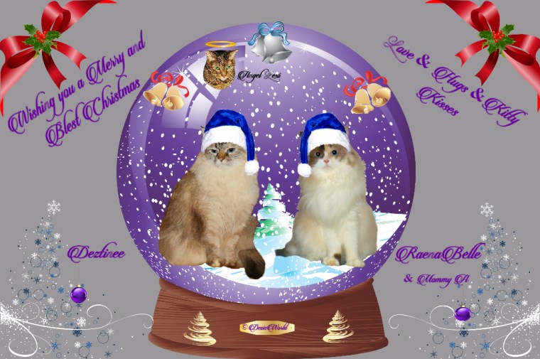 Dezi, Raena and angel Lexi in a Christmas frame