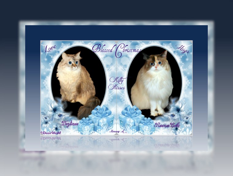 Dezi and Raena in a blue Christmas frame