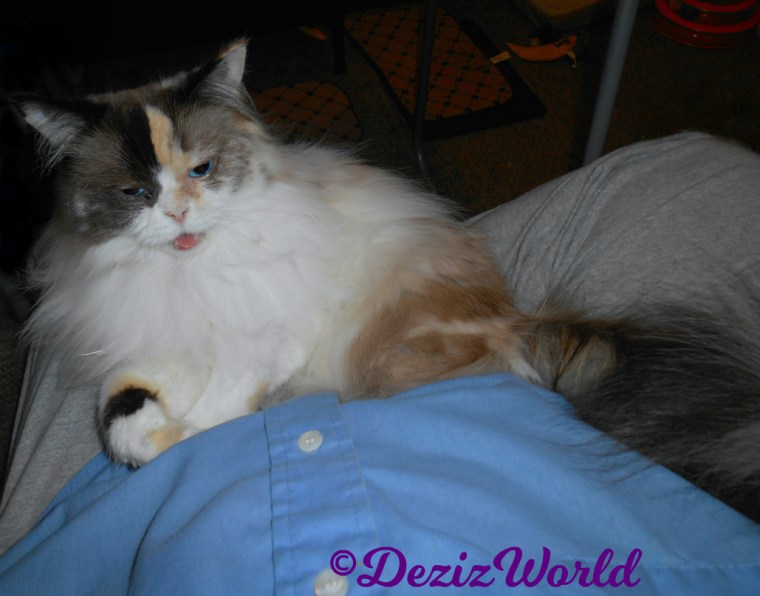 Raena lays in mommy's lap with mouth open and tongue out