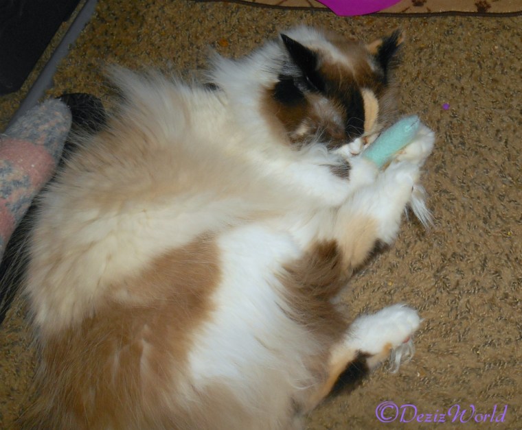 Raena plays with Trixietoys