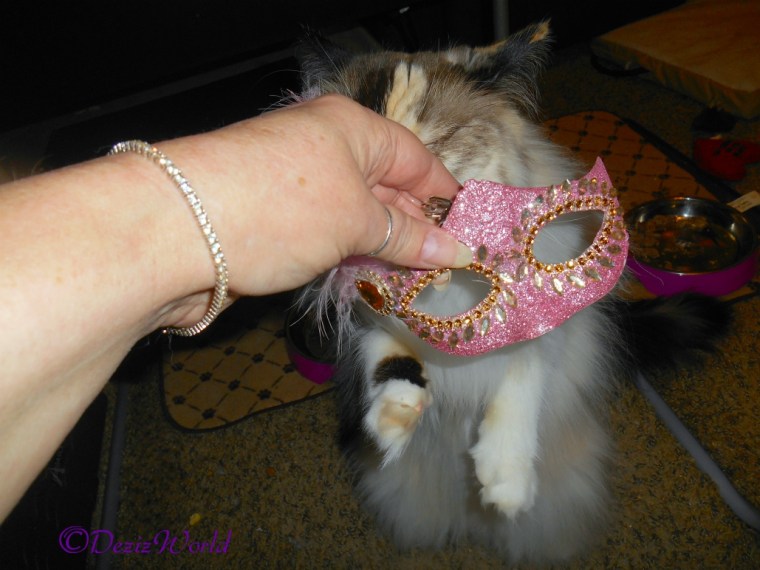 Raena stands on back legs sniffing mask from Val