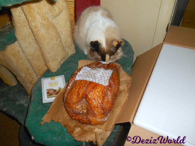 Raena sniffs turkey gift from Suzanne, Don and LouLou