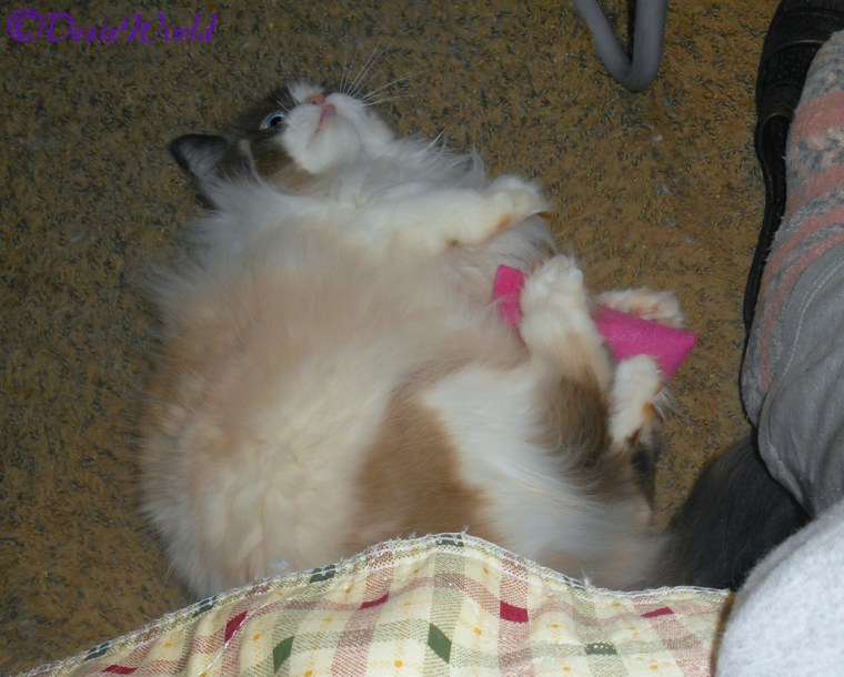 Raena plays with TrixieToys