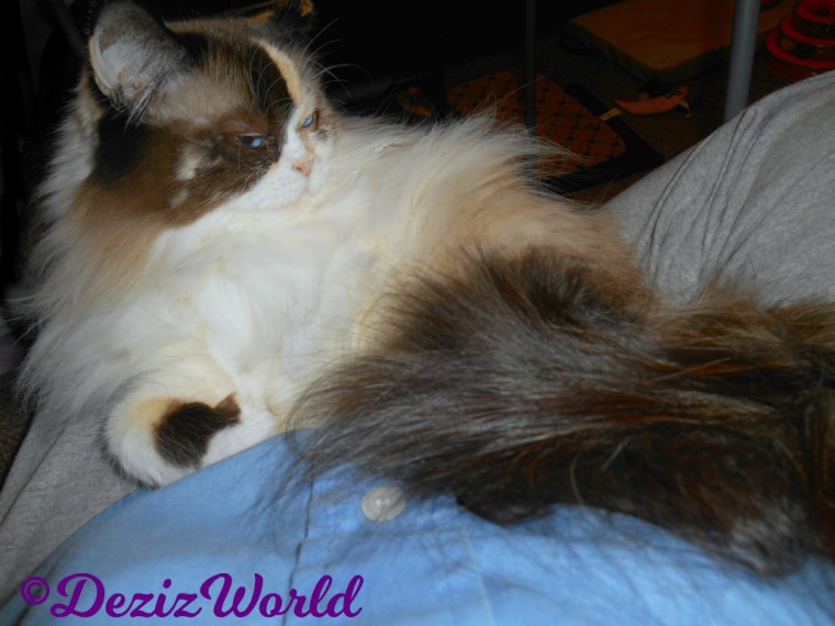 Raena lays in lap-selfie