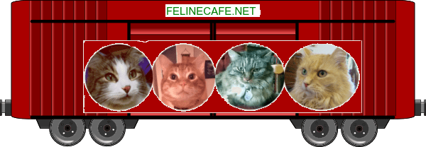 Feline Cafe boxcar