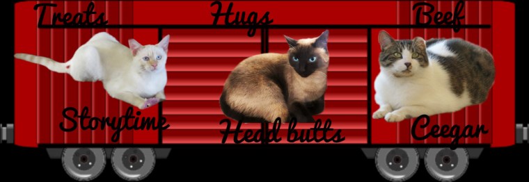 Canadian Cats Boxcar