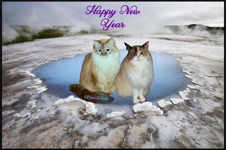 Dezi and Raena in an icy new years frame
