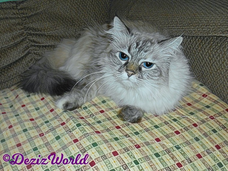 Dezi lays in chair with drawing effect