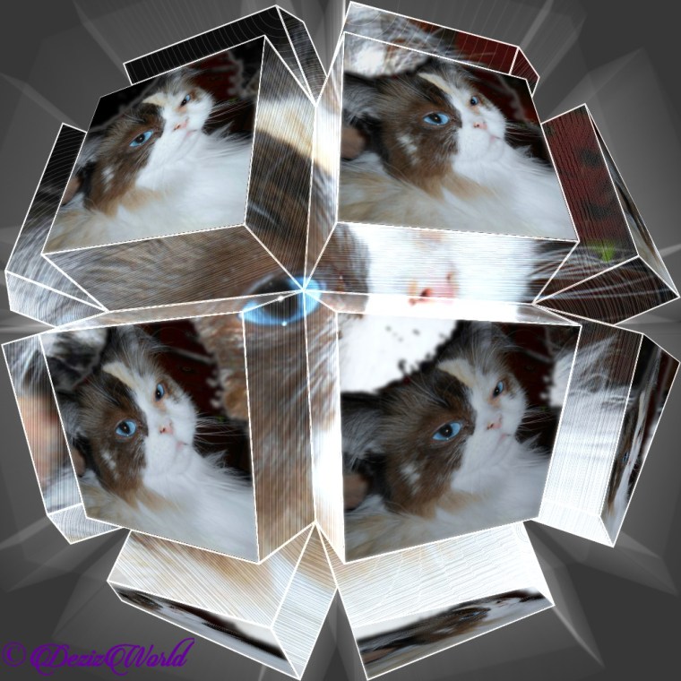 Raena selfie in a circular geometry frame