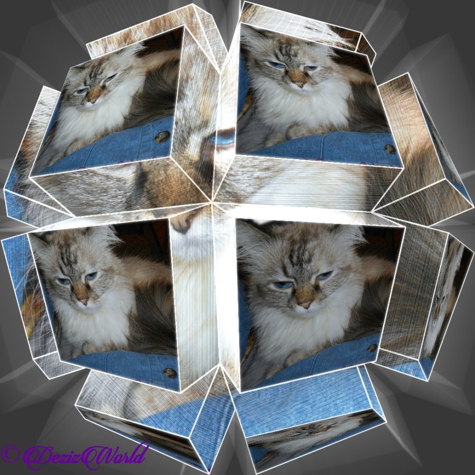 Dezi selfie in circled geometry frame