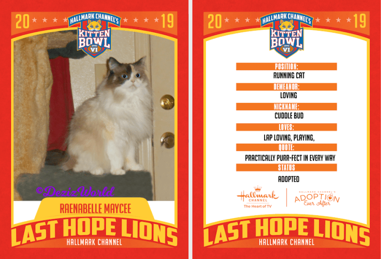 Raena kitten bown card