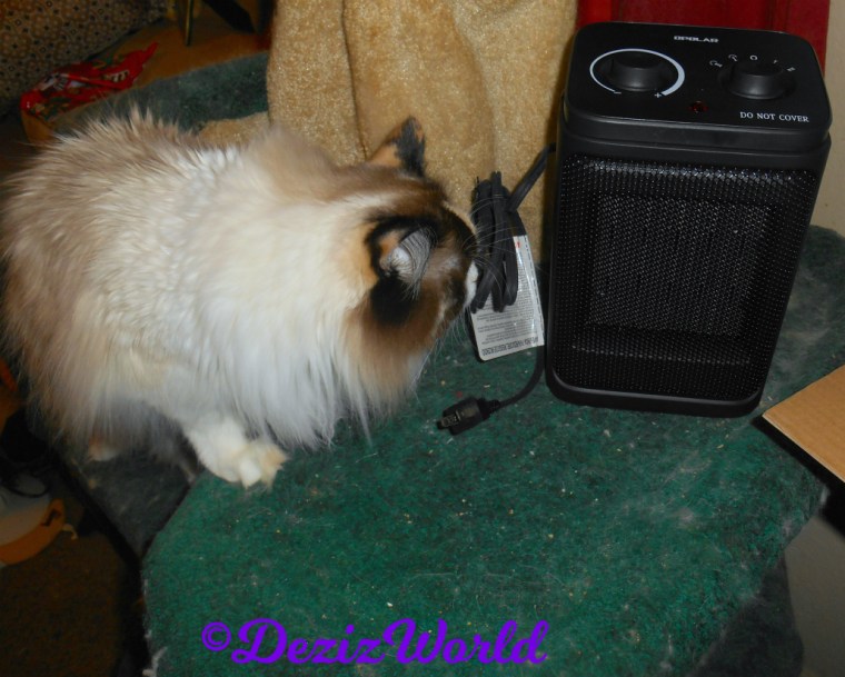 Raena checks out the new space heater from Cindy