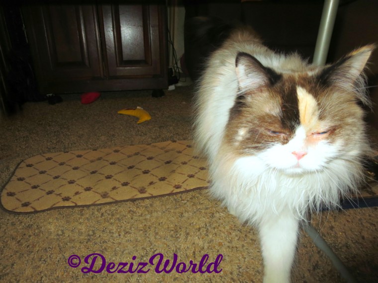 Raena walks toward camera with squinted eyes