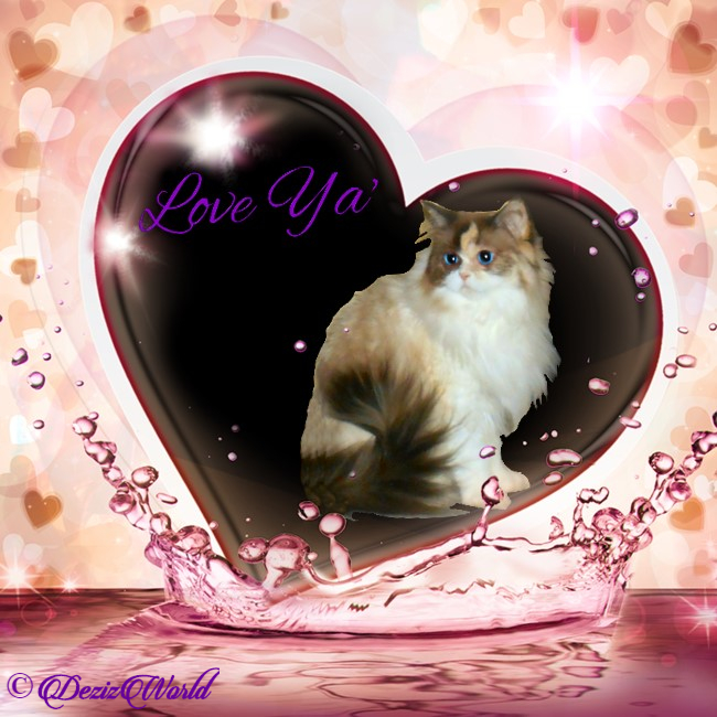 Raena sits pretty profile in love ya natural heart frame