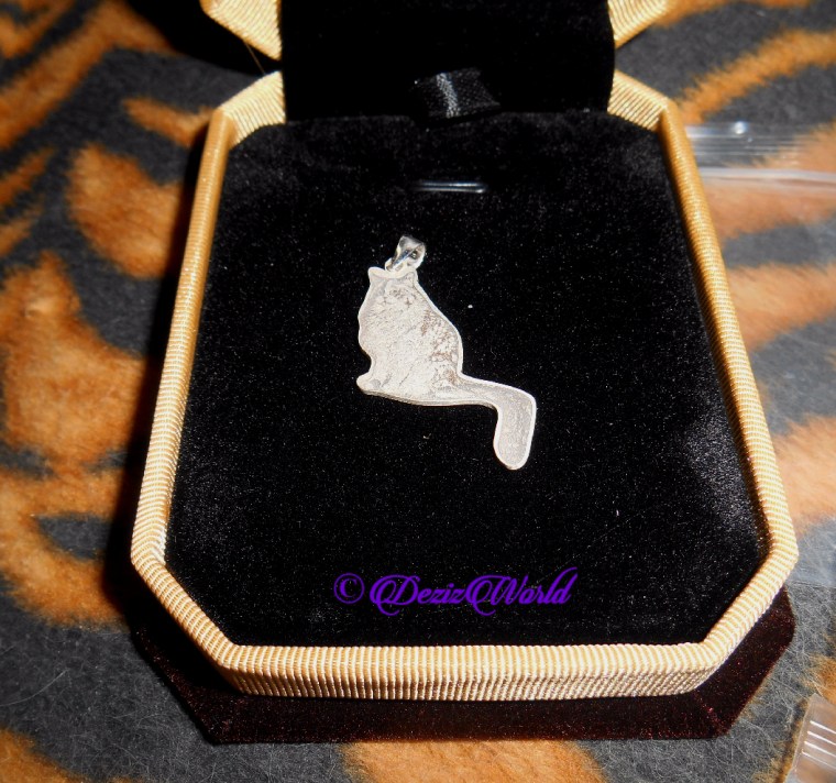 Personalized sterling silver pendant of RaenaBelle