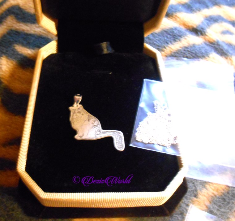 Sterling silver pendant of RaenaBelle