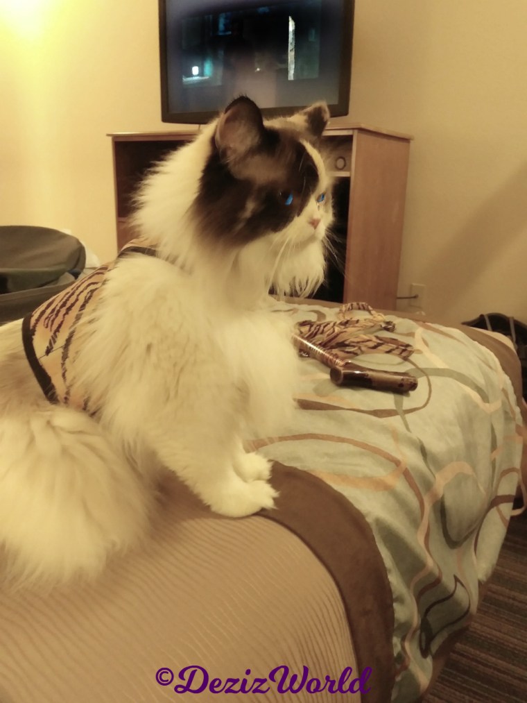 Raena sits pretty profile 