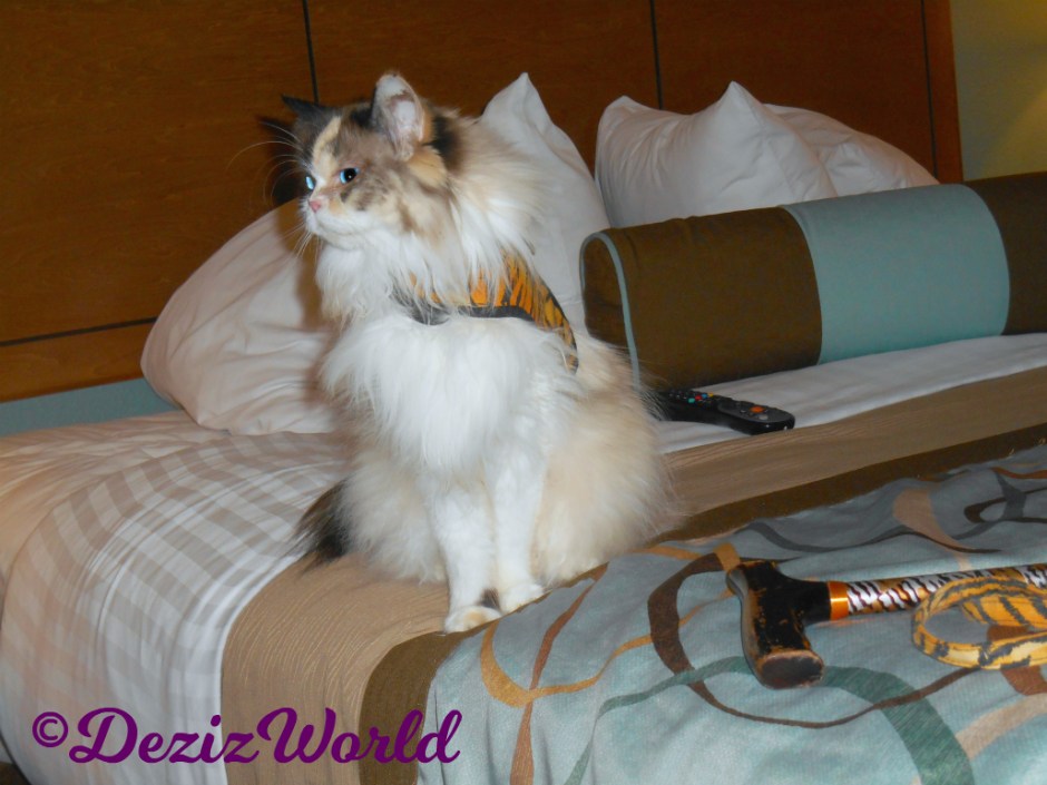 Raena sits pretty profile