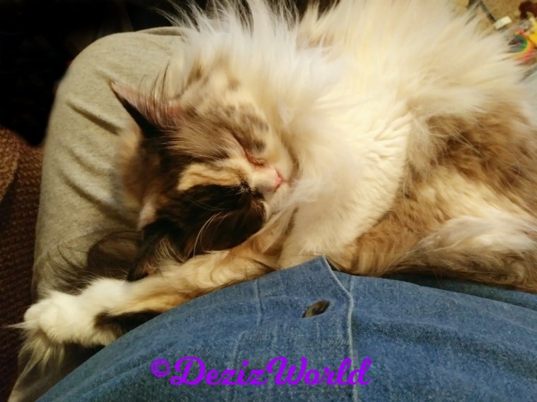 Raena sleeps curled up in mommy's lap