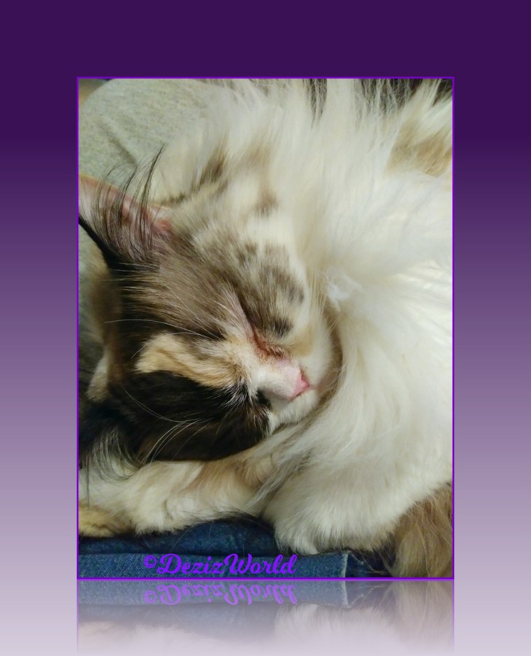 Raena sleeps on mommy A's lap, selfie