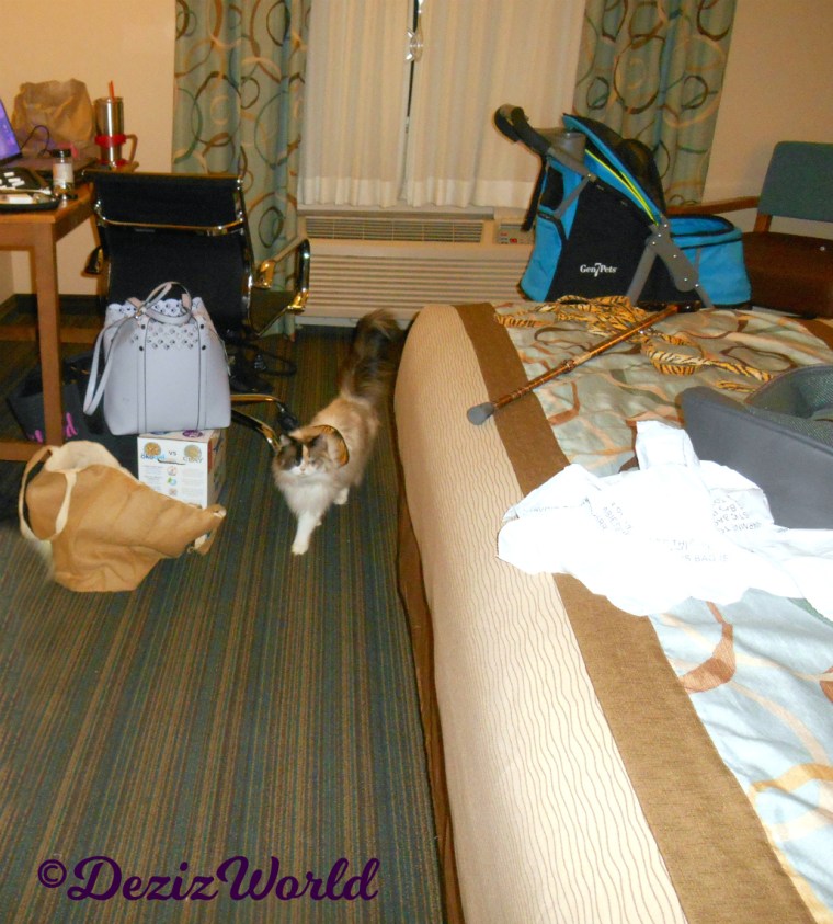 Raena walks thru hotel room