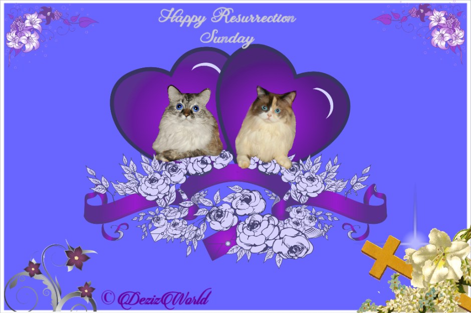 Resurrection Sunday Card