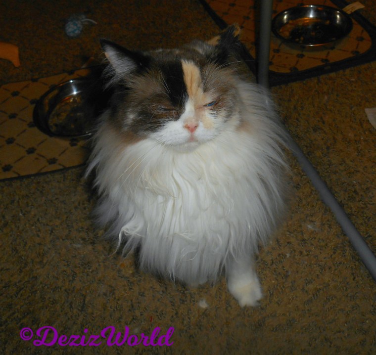 Raena squinty eyed close up