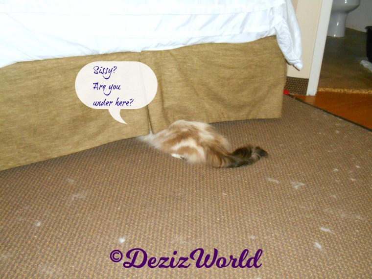 Raena looks under the bed