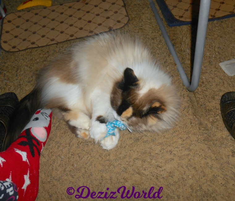 Raena plays with Ellen's made with love toy