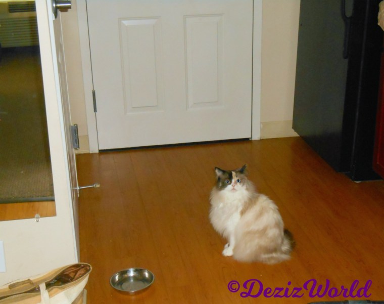 Raena sits pretty in hotel room