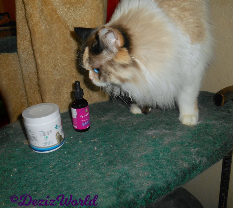 Raena checks out the Scruffy Paws Vitalize supplements