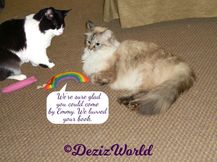 Dezi and Emmy of 15 and meowing chat