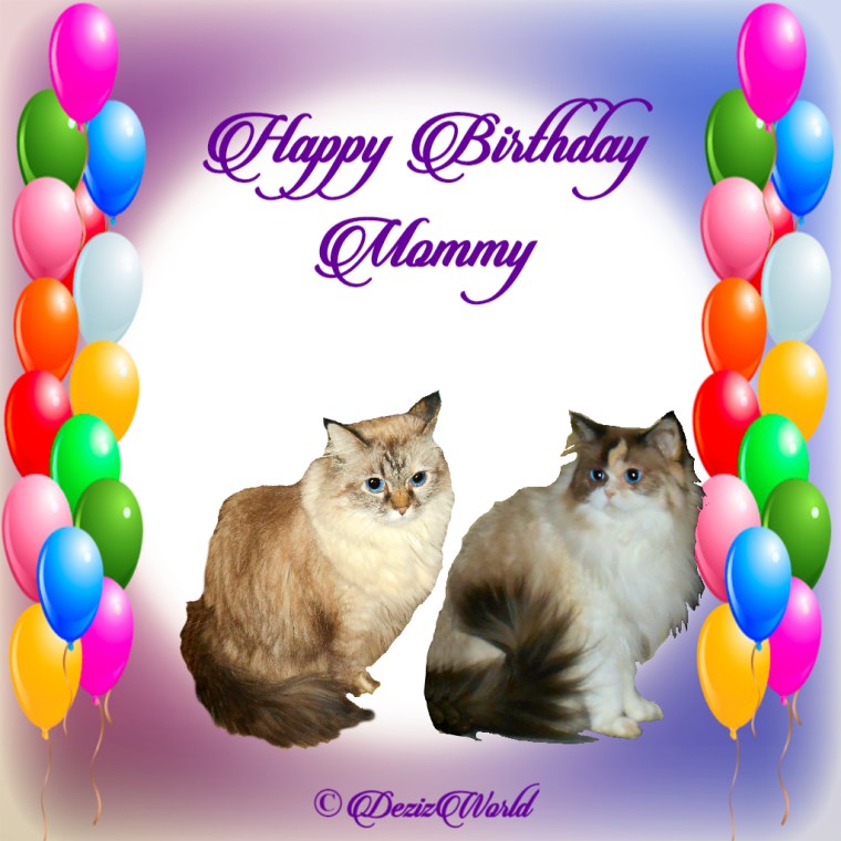 Raena checks out vera bradley bag, socks and candy gift from Cindy