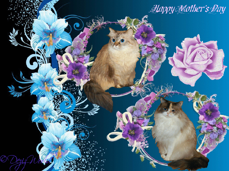 Dezi and Raena in a flower Mother's day frame