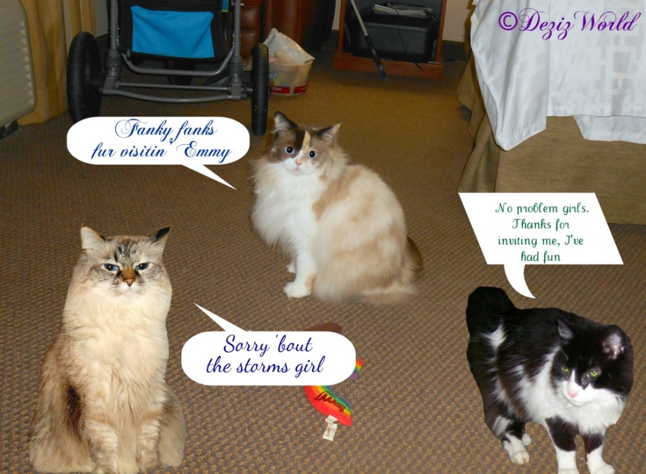 Dezi, Raena and Emmy say goodbye after their playdate