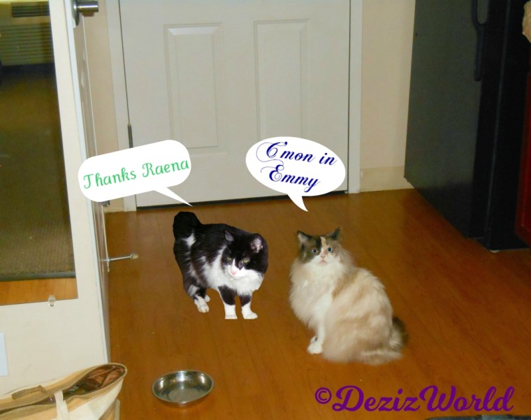 Raena and Emmy greet each other for their playdate review