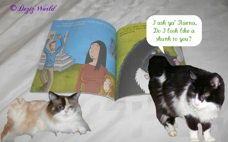 Raena and Emmy talk about book