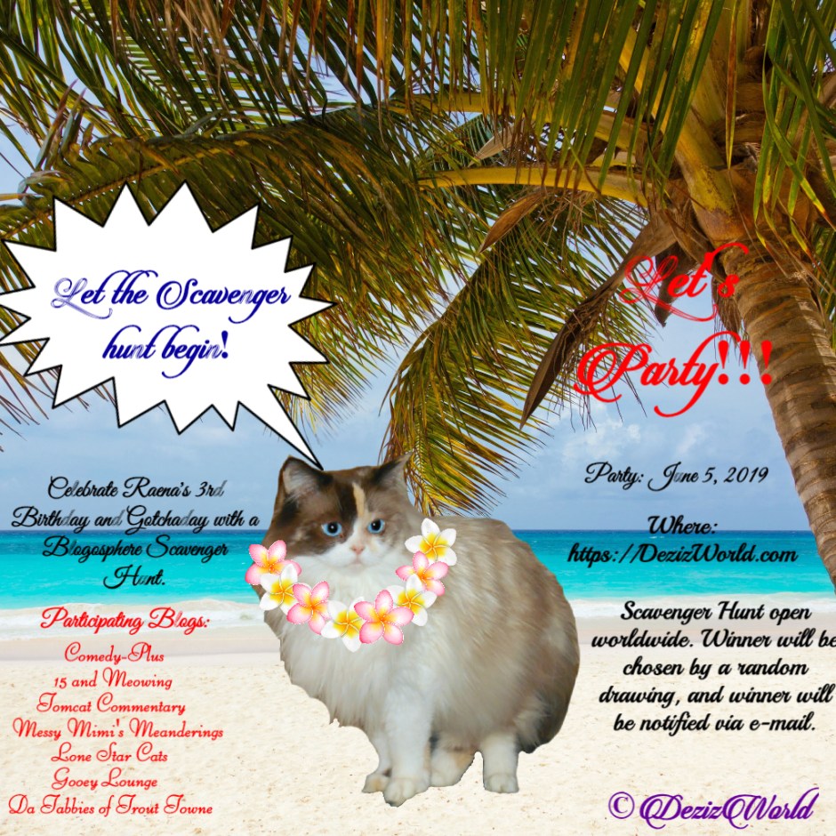 Raena scavenger hunt party invitation